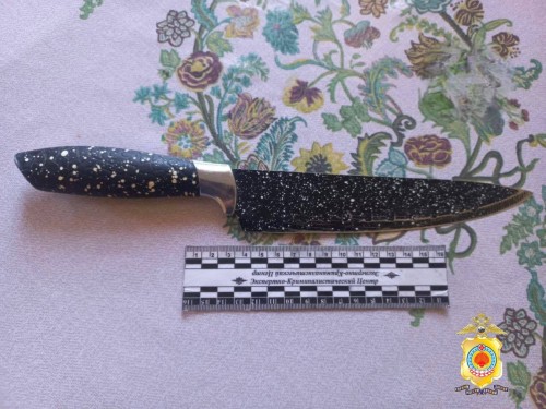 В Калмыкии проводится расследование по факту ножевого ранения.