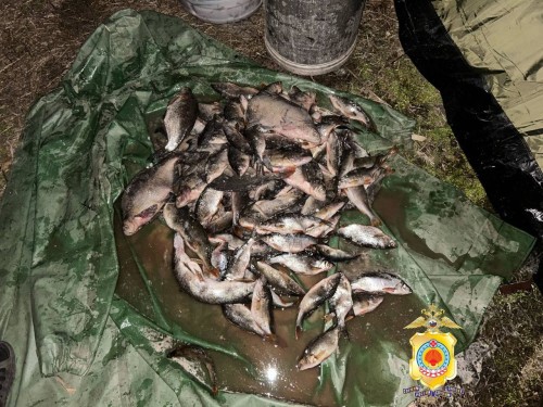 В Юстинском районе полицейскими пресечена незаконная добыча рыбы