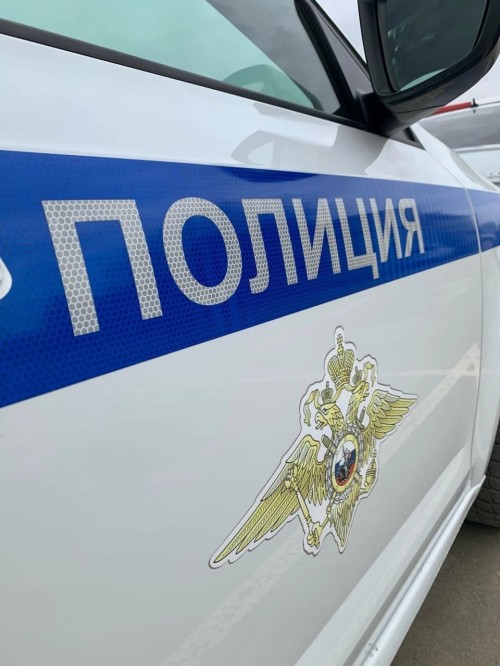 В Элисте сотрудниками полиции раскрыты две кражи из сетевых магазинов города.