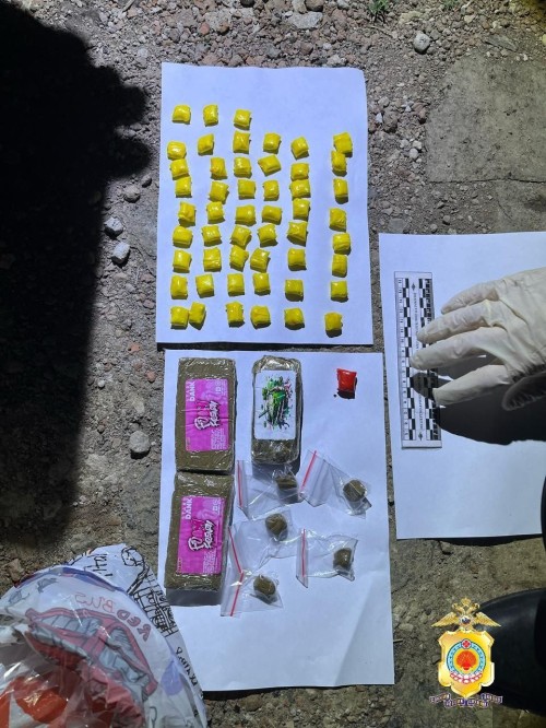 Полиция Калмыкии задержала наркокурьеров с крупной партией гашиша
