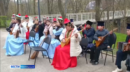 Фестиваль тюльпанов продолжает свое шествие по региону.