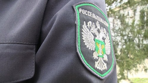 В Калмыкии Управление Россельхознадзора по Ростовской, Волгоградской и Астраханской областям и Республике Калмыкия рассмотрело обращение гражданина по факту нарушений при содержании мелкого рогатого скота (около 1000 голов) в черте населенного пункта, рас