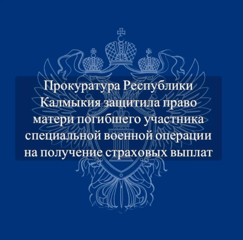 В Калмыкии в пользу матери погибшего участника СВО взысканы страховые выплаты, сообщает официальный сайт Генеральной прокуратуры РФ.
