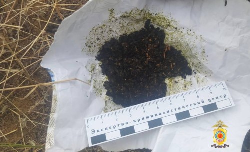 Жителю Черноземельского района грозит уголовное дело за незаконное хранение и изготовление наркотических средств.