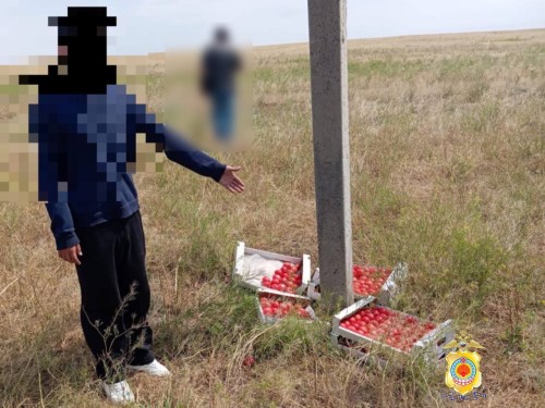 В Калмыкии школьник Черноземельского района обворовал два грузовика.
