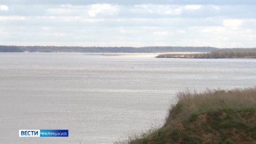 Ученые зафиксировали изменения в дельте Волги, влияющие на размножение рыб.