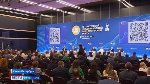 Сегодня стартовал Петербургский международный экономический форум