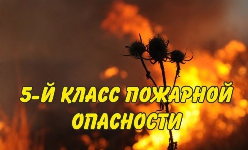 По данным Калмыцкого ЦГМС, до конца суток 08 июля, а также сутки 09 июля чрезвычайная пожарная опасность 5 класса ожидается в центральном районе (Яшкульский район), юго-восточных районах (Лаганский, Черноземельский районы), местами в северном районе (Юсти