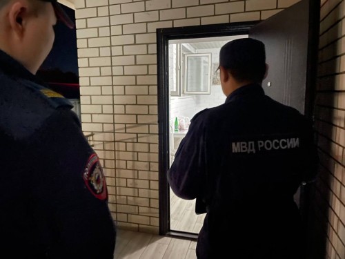 В Элисте задержаны двое за умышленное причинение вреда здоровью