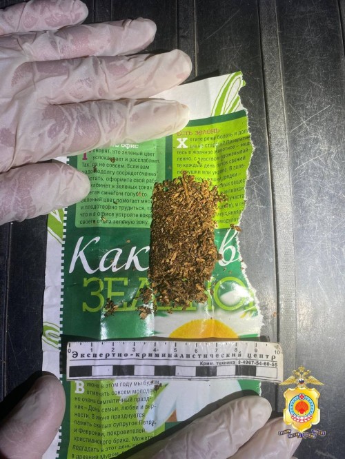 В Элисте выявлен очередной факт незаконного оборота наркотиков.