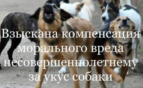 В Калмыкии суд удовлетворил иск прокуратуры Яшалтинского района о возмещении несовершеннолетнему морального вреда.