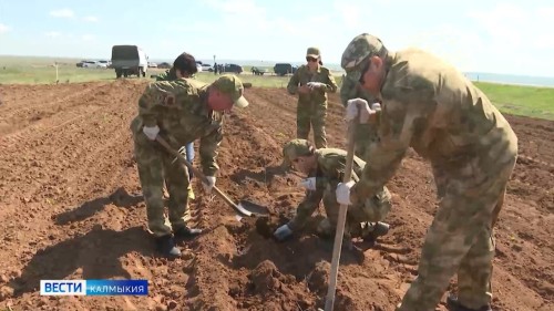Калмыкия вошла в десятку самых активных регионов по высадке деревьев в рамках акции «Сад памяти».