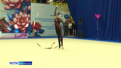 Сегодня калмыцкая гимнастка Варвара Топорова примет участие в международных соревнованиях «Хрустальная роза» в Минске.
