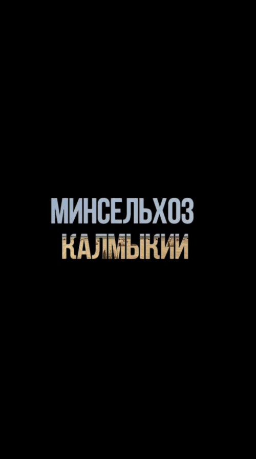 В Калмыкии идет заготовка кормов.