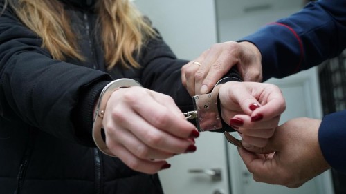 Полицейские Калмыкии задержали дроппера из Новосибирской области.