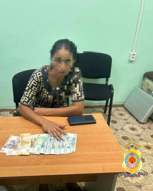 В Городовиковске задержана подозреваемая в краже кошелька.
