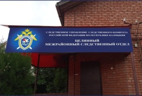 Жительница Элисты подозревается в даче взятки должностному лицу