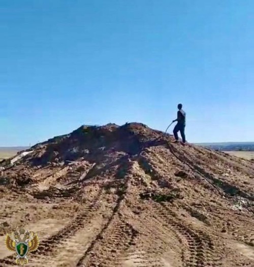 ❗️Прокуратура Целинного района выявила грубые нарушения ветеринарно-санитарных норм.