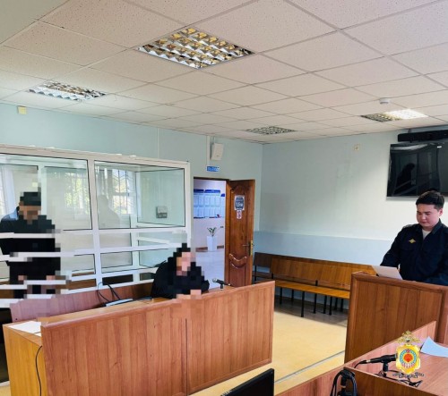В Элисте водителю, сбившему ребенка на пешеходном переходе, избрана мера пресечения