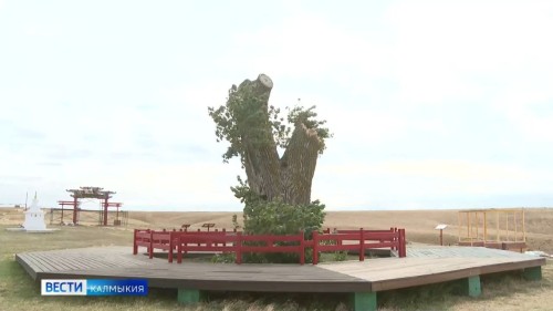 У памятника природы Калмыкии — «Одинокого тополя» появился баннер с QR-кодом.