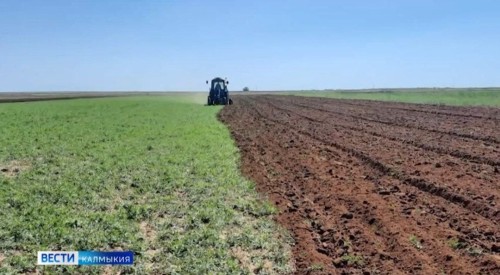 Лесовосстановление – важное осеннее мероприятие.