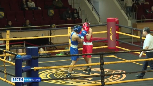 Сегодня состоятся полуфинальные бои в рамках межрегиональных соревнований по боксу памяти заслуженного тренера России и Таджикистана Церена Балзанова.