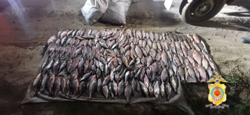 Полицейскими Цаган-Амана задержан подозреваемый в незаконной добыче биологических ресурсов