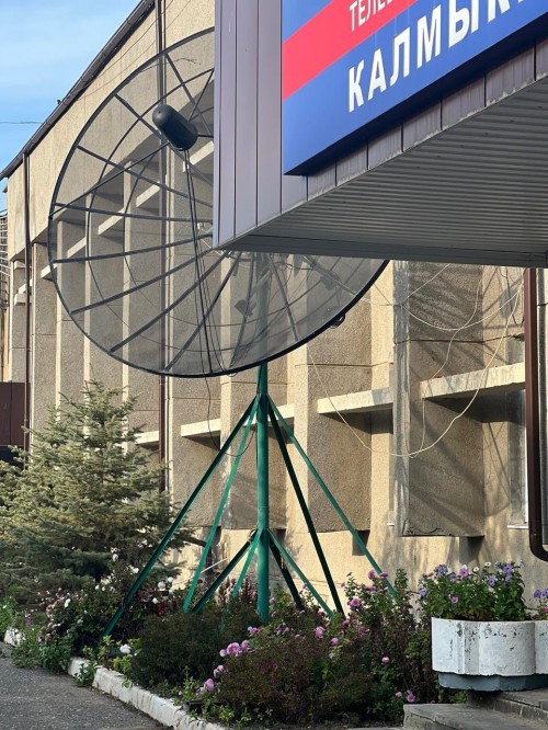 На носу декабрь, а Элиста цветёт!