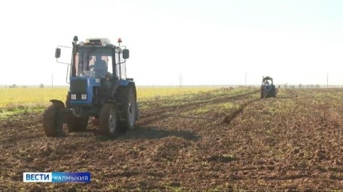 Калмыкия по итогам 2025 года впервые вошла в ТОП-5 самых активных и результативных регионов России по лесовосстановительной акции «Сохраним лес».