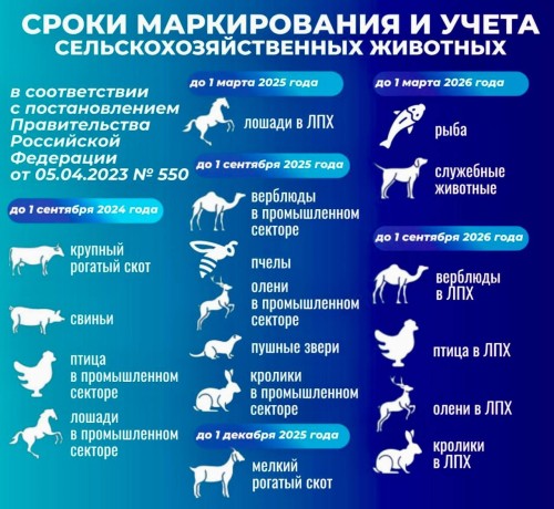 Прокуратура Целинного района выявила нарушения ветеринарного законодательства у местного индивидуального предпринимателя.