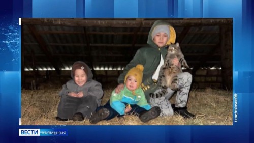 Министерство социального развития, труда и занятости открывает голосование для определения победителей II Республиканского конкурса среди многодетных семей «Лучшее семейное хозяйство».