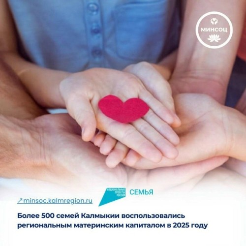 ️521 семья Калмыкии в прошлом году использовала региональный материнский (семейный) капитал