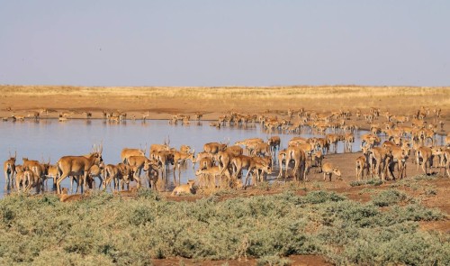 Сегодня — День заповедников и национальных парков.