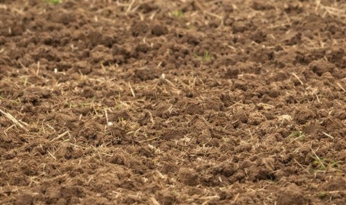 Росприроднадзор предъявил иск  нефтяной компании в Калмыкии за ущерб почвам