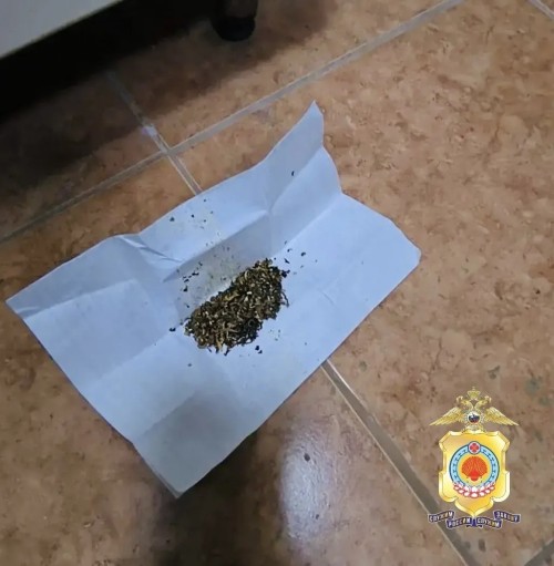 ️В отношении 40-летнего жителя Элисты возбуждено уголовное дело за незаконный оборот наркотиков.