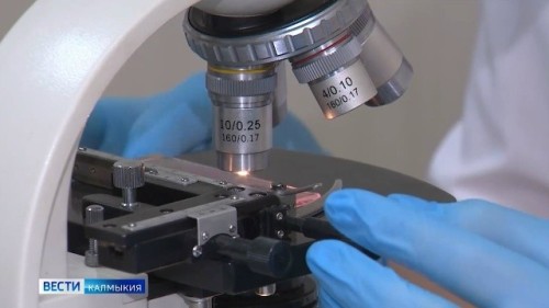 Академик РАН Геннадий Онищенко связал появление оспы обезьян в России с недостатком солнечного света.