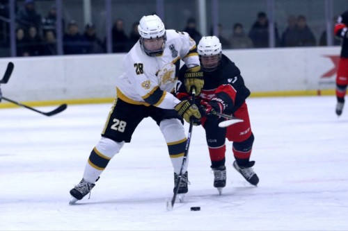 Хоккейная команда «Х17» в Калмыкии.