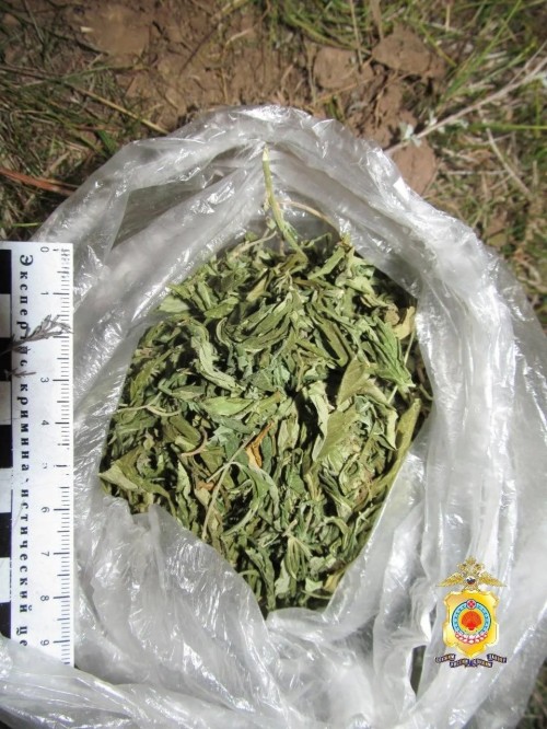 ️В Приютненском районе задержали мужчину, хранившего наркотики в собачьей будке.