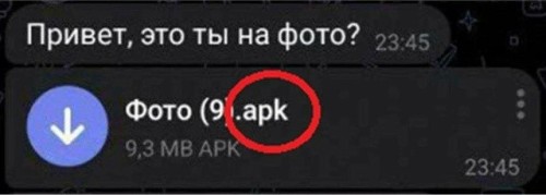 19-летний студент из Омска обманом похитил деньги у жительницы Лаганского района