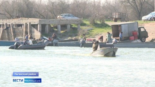 С начала года в калмыцкой зоне Северного Каспия выловили 185 тонн рыбы.