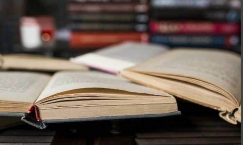 Слово «нетворкинг» официально включили в Словарь иностранных слов, закрепив его норму в современном русском литературном языке.