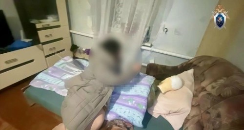 ️В Калмыкии завершено расследование уголовного дела в отношении 53-летней местной жительницы, обвиняемой в покушении на убийство.