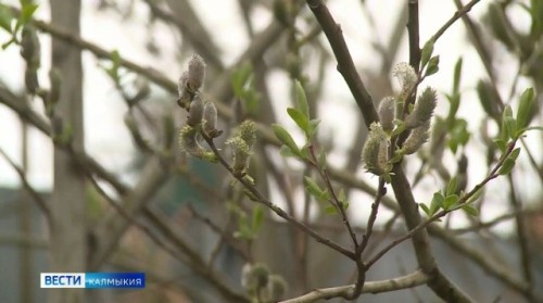 Сегодня первый день Страстной недели, его еще называют Великий понедельник.