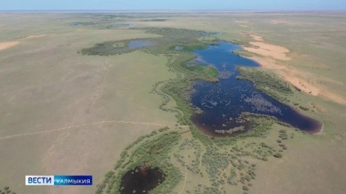 Сегодня – день экологических знаний.