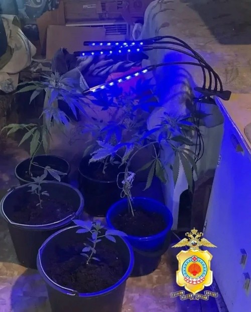 ️В Юстинском районе выявили факты незаконного оборота наркотиков и водных биоресурсов.