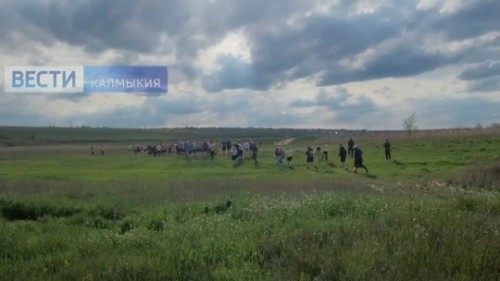 В Калмыкии проходит трейловый забег «Kalmyk Camel Trophy».