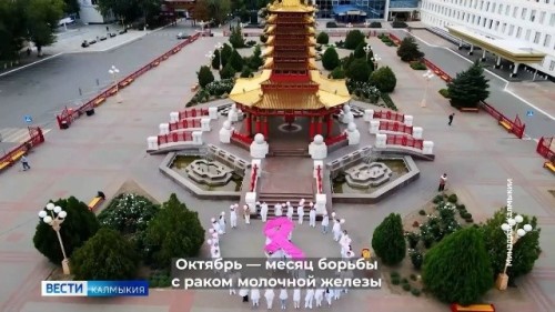Октябрь — месяц борьбы с раком молочной железы