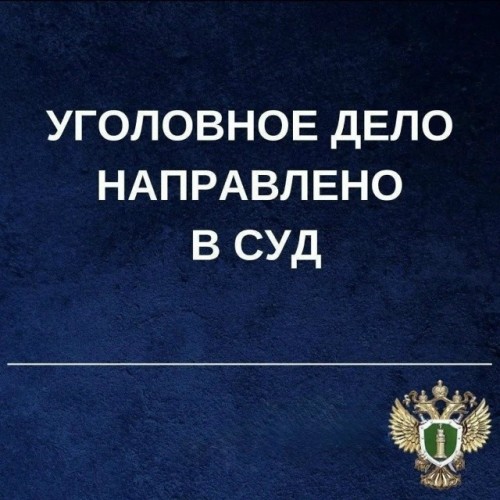 ️В Элисте перед судом предстанет мужчина за угон и пьяную езду