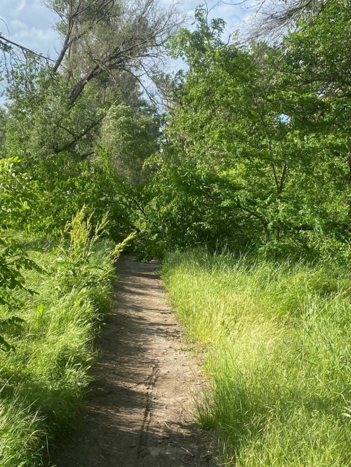 Жители Городовиковска бьют тревогу.