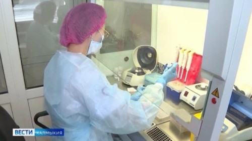 В Калмыкии с начала года от укусов клещей пострадали 344 человека, в том числе 108 детей до 14 лет